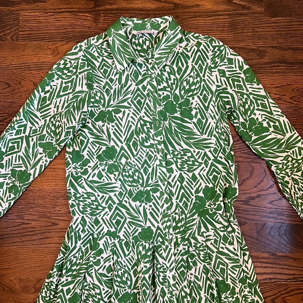Zara Botanical Green and White Maxi Dress